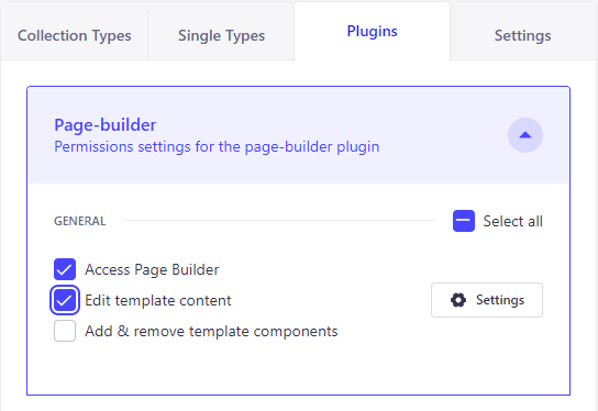 Strapi Page Builder RBAC