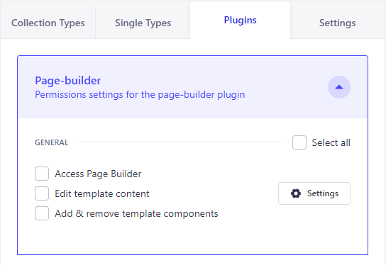 Strapi Page Builder RBAC 1