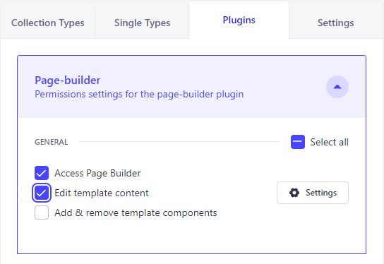 Strapi Page Builder RBAC 2